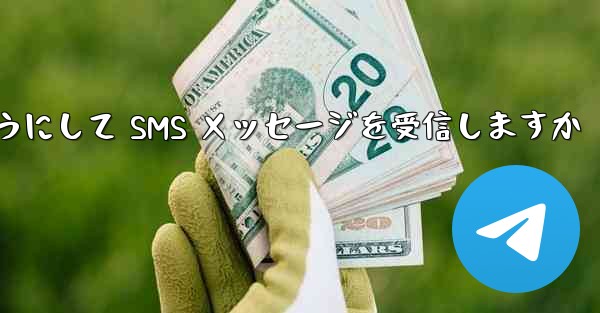 Paper Plane はどのようにして SMS メッセージを受信しますか