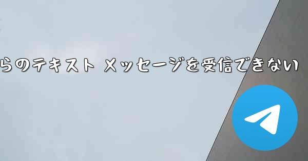 <b>Paper Plane の中国語番号からのテキスト メッセージを受信できない</b>