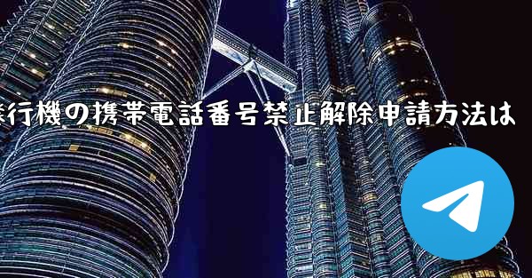 <b>紙飛行機の携帯電話番号禁止解除申請方法は</b>