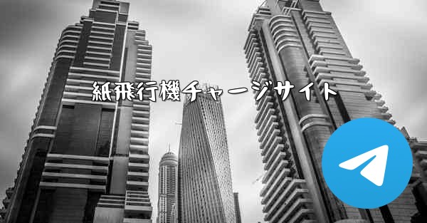 <b>紙飛行機チャージサイト</b>