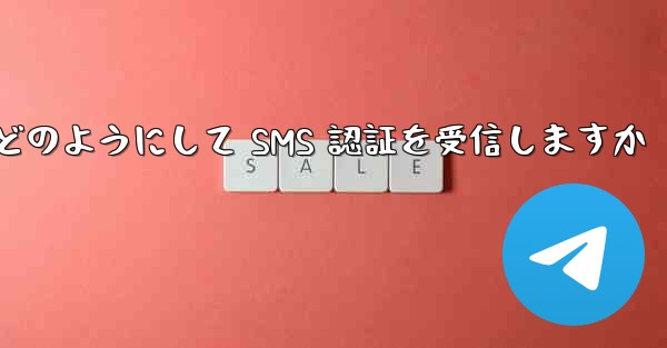 Paper Plane はどのようにして SMS 認証を受信しますか