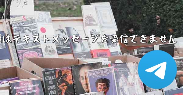 国内の紙飛行機はテキストメッセージを受信できません