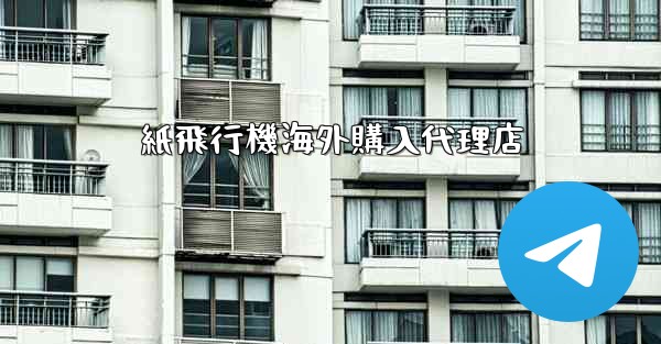 紙飛行機海外購入代理店