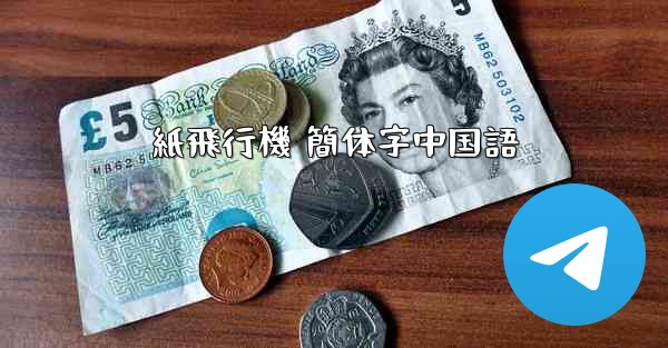 紙飛行機 簡体字中国語