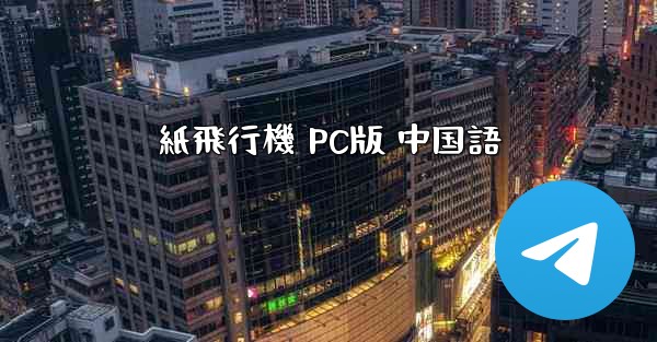 紙飛行機 PC版 中国語