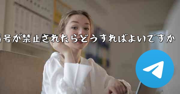 私の紙飛行機の番号が禁止されたらどうすればよいですか