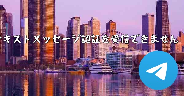紙飛行機は海外のテキストメッセージ認証を受信できません