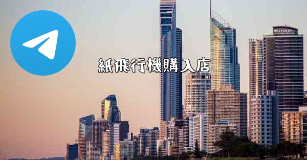 紙飛行機購入店