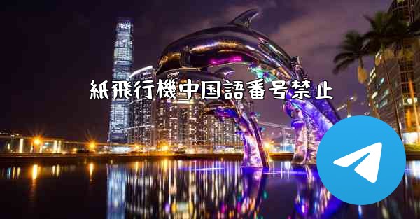 紙飛行機中国語番号禁止