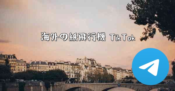 海外の紙飛行機 TikTok
