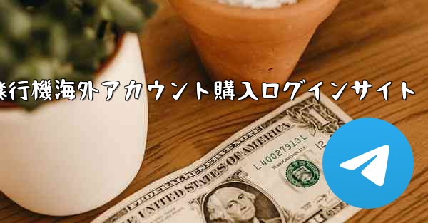 紙飛行機海外アカウント購入ログインサイト