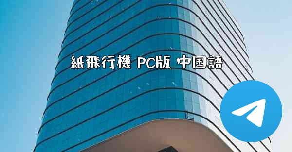 紙飛行機 PC版 中国語