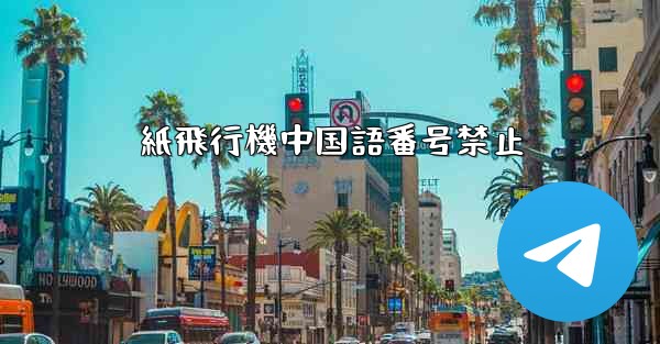 紙飛行機中国語番号禁止