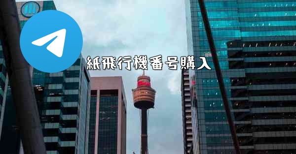 紙飛行機番号購入