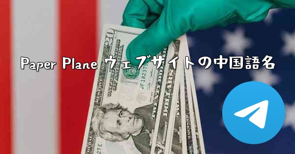 Paper Plane ウェブサイトの中国語名