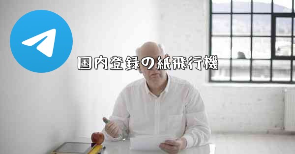 国内登録の紙飛行機