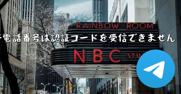 Paper Plane 86 の携帯電話番号は認証コードを受信できません