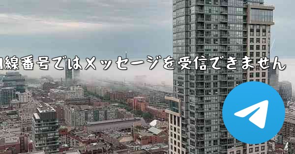 <b>紙飛行機の国内線番号ではメッセージを受信できません</b>