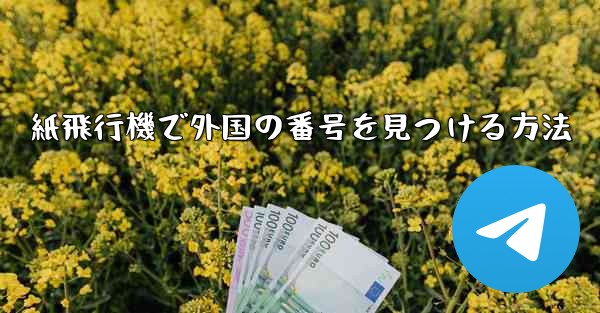 紙飛行機で外国の番号を見つける方法