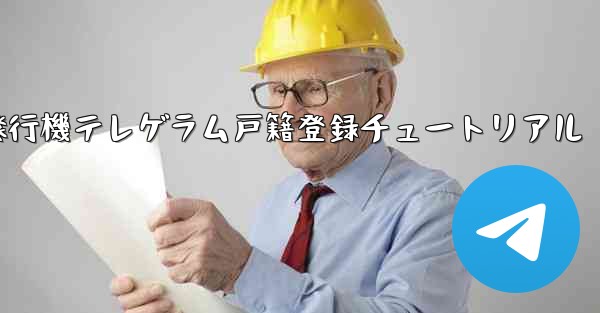 紙飛行機テレゲラム戸籍登録チュートリアル