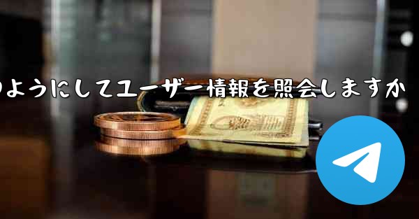 Paper Plane はどのようにしてユーザー情報を照会しますか