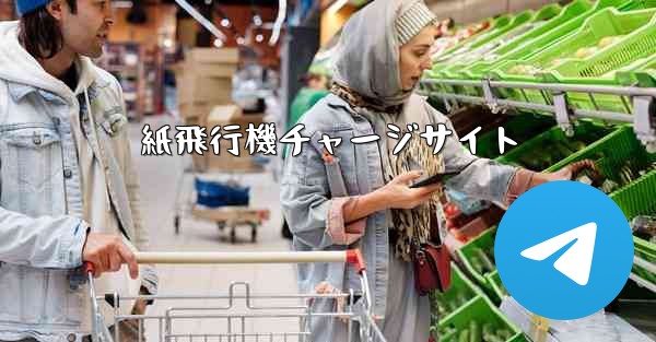 紙飛行機チャージサイト