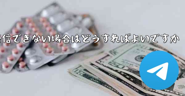 Paper Plane の国内携帯電話番号で認証コードを受信できない場合はどうすればよいですか