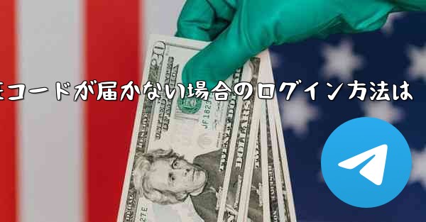 紙飛行機の国内番号で認証コードが届かない場合のログイン方法は