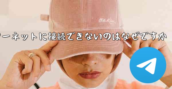 中国では紙飛行機ソフトウェアがインターネットに接続できないのはなぜですか