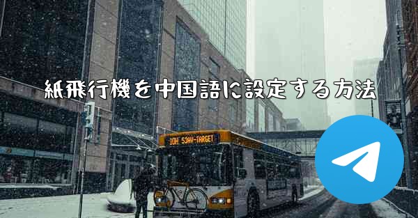 紙飛行機を中国語に設定する方法