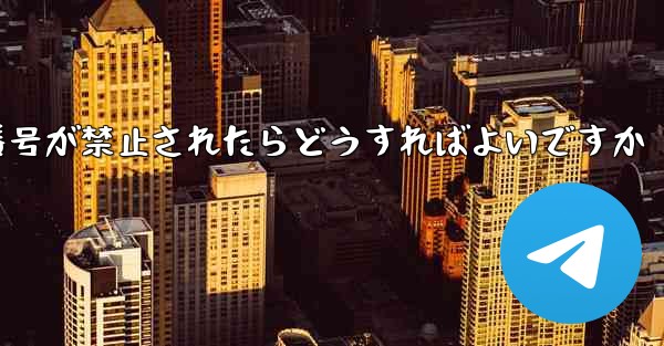 私の紙飛行機の携帯電話番号が禁止されたらどうすればよいですか