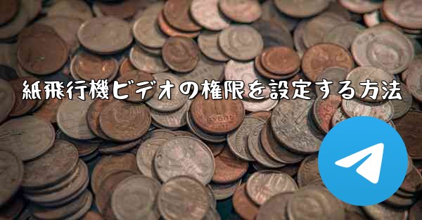 紙飛行機ビデオの権限を設定する方法