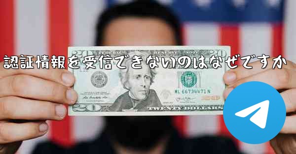 Paper Plane が SMS 認証情報を受信できないのはなぜですか