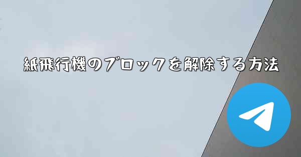 <b>紙飛行機のブロックを解除する方法</b>