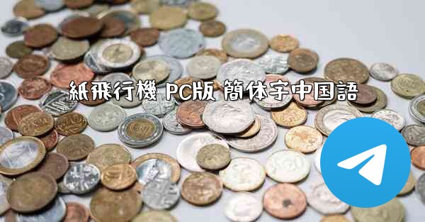 紙飛行機 PC版 簡体字中国語