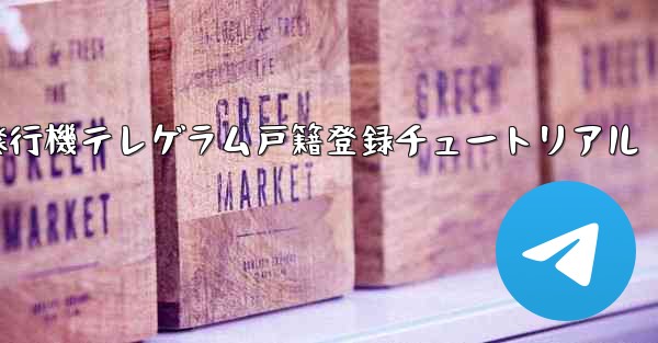紙飛行機テレゲラム戸籍登録チュートリアル