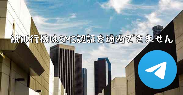 紙飛行機はSMS認証を通過できません