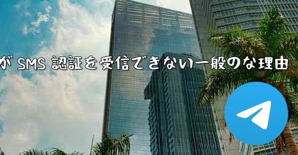 Paper Plane が SMS 認証を受信できない一般のな理由