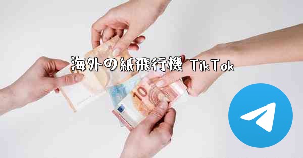 海外の紙飛行機 TikTok