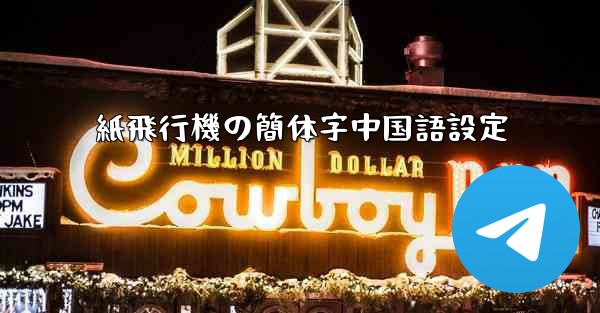 紙飛行機の簡体字中国語設定