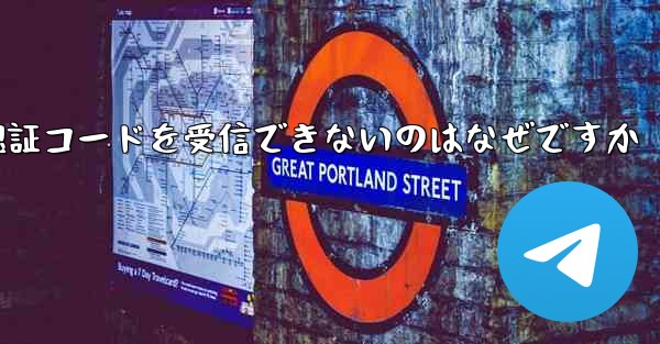 Paper Plane が SMS 認証コードを受信できないのはなぜですか