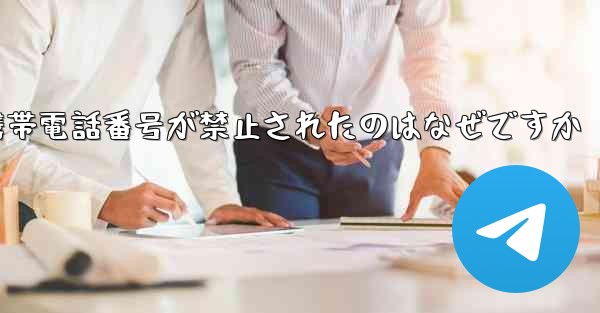 Paper Plane の携帯電話番号が禁止されたのはなぜですか