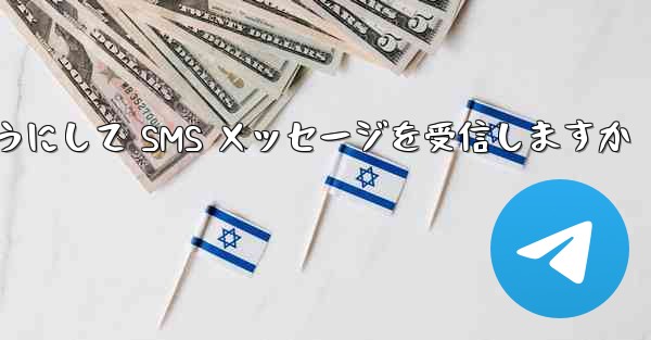 <b>Paper Plane はどのようにして SMS メッセージを受信しますか</b>