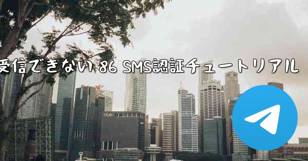紙飛行機が受信できない 86 SMS認証チュートリアル