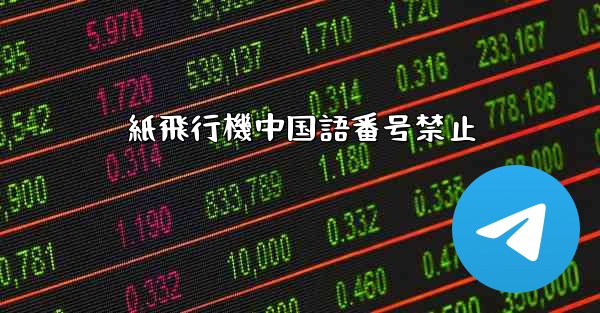 紙飛行機中国語番号禁止