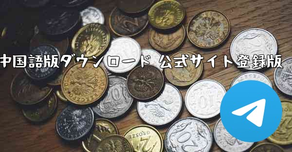 Paper Plane 中国語版ダウンロード 公式サイト登録版