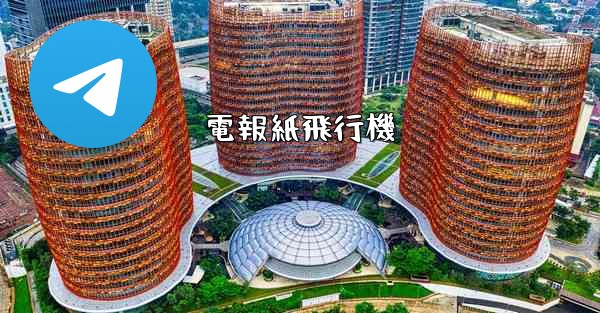 電報紙飛行機