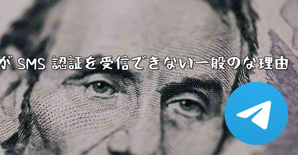 Paper Plane が SMS 認証を受信できない一般のな理由