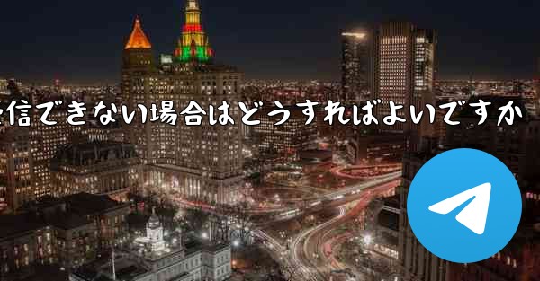 Paper Plane の携帯電話番号でテキスト メッセージを受信できない場合はどうすればよいですか