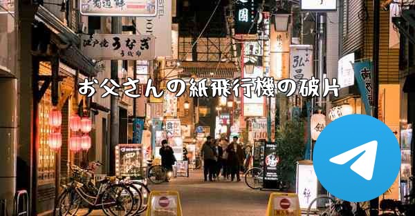 お父さんの紙飛行機の破片
